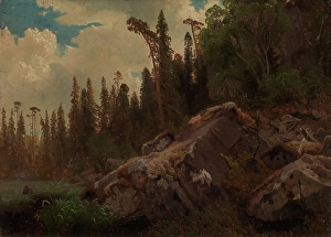Nasjonalmuseet Prints: Landscape Study with Trees and Rocks, probably 1851. Creator: Herman August Cappelen