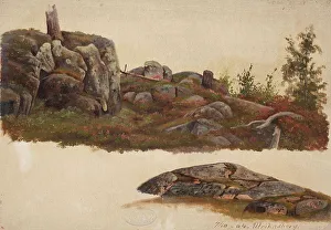 Helsinki Finland Europe Prints: Landscape Study, Ullanlinna in Helsinki, 1864. Creator: Magnus von Wright