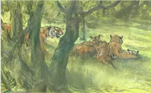 Underneath Prints: Landscape with Tiger and Cubs, 1900-1910. Creator: John MacAllan Swan
