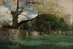 Dry Stone Wall Prints: Landscape at Torsebro, near Kristianstad, 1884. Creator: Gustaf Rydberg