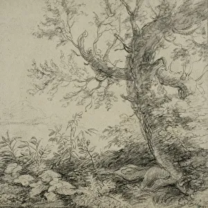 Anthony Waterloo Prints: Landscape with a tree, ca 1630-1690. Creator: Anthonie Waterloo