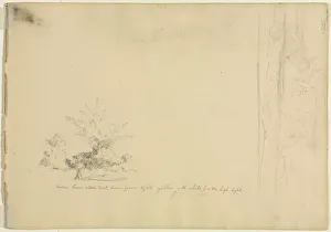 David Johnson Prints: Landscape and Tree Studies (verso), c. 1851. Creator: David Johnson (American, 1827-1908)