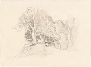 Prints Collection: Landscape with Trees. Creator: Unknown