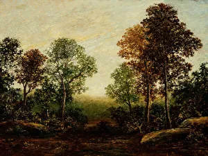 Landscape with Trees (image 1 of 2), between c1883 and c1898. Creator: Ralph Blakelock