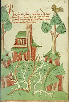 Diebold Lauber Prints: A Landscape with Trees, Thorn Bushes