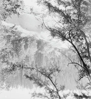 Landscape view of a wooded valley with a river, between 1911 and 1942. Creator: Arnold Genthe