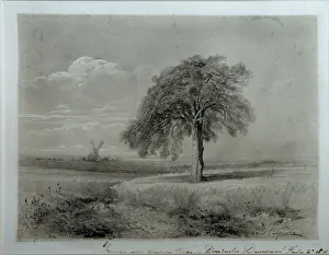 Images Dated 2nd April 2014: Landscape with Windmill. Artist: Savrasov, Alexei Kondratyevich (1830-1897)