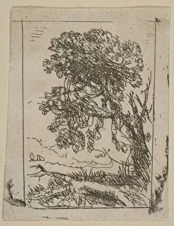 Lorrain Collection: The Two Landscapes (Left Tree), ca. 1630. Creator: Claude Lorrain