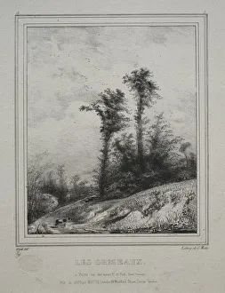Landscapes: Young Elm Trees, 1829. Creator: Paul Hüet (French, 1803-1869)