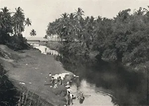 Washing Prints: Landschaft am Fluss bei Dehiwala, zwischen Colombo und Mount Lavinia, 1926