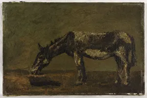 Courbet Gustave Prints: L'âne, between 1862 and 1863. Creator: Gustave Courbet