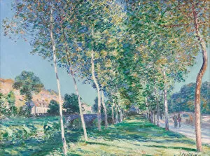 Alfred 1839 1899 Gallery: The Lane of Poplars at Moret-sur-Loing, 1890