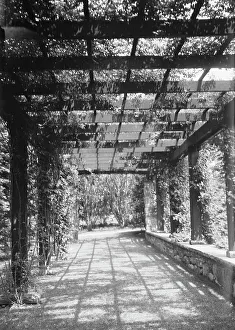 Langeloth estate, Riverside, Connecticut, 1932 June 7. Creator: Arnold Genthe