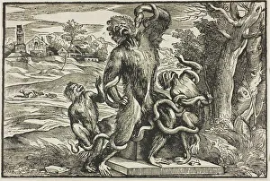 Laöcoon, 1540/45. Creator: Nicolo Boldrini