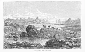 Reindeer Prints: Laplanders and Reindeer, 1881. Creator: Pearson
