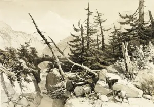 Jd Harding Prints: Larch, from The Park and the Forest, 1841. Creator: James Duffield Harding