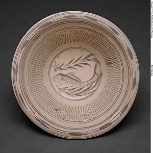 Basin Prints: Large Basin with Carp and Waterweeds