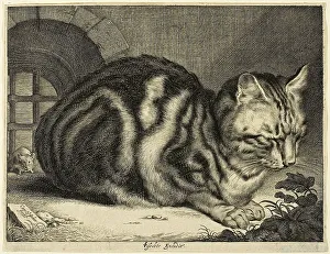Unaware Prints: The Large Cat, 1657. Creator: Cornelis de Visscher
