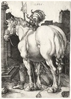 Early 16th Century Prints: The Large Horse, 1505. Creator: Albrecht Dürer (German, 1471-1528)