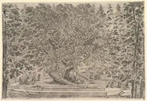 A large inhabited tree in center with ramps leading around the trunk, below a stone pa A large inhabited tree in center with ramps leading around the trunk, below a stone pa