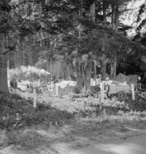 Carriage Gallery: Large private auto camp in woods at end of day, near West Stayton, Marion County, Oregon, 1939