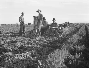 Large-scale agricultural gang labor, Mexicans and... near Meloland, Imperial Valley, 1939 Creator: Dorothea Lange