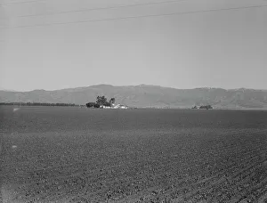 Large-scale agriculture (peas) and old style California ranch house, near King City, CA, 1939. Creator: Dorothea Lange