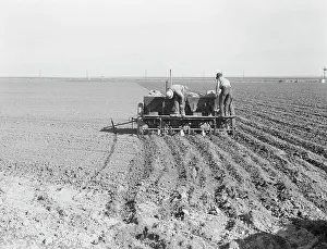 Seed Prints: Large-scale, mechanized farming - potato planter