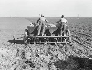 Seed Prints: Large-scale, mechanized farming - potato planter