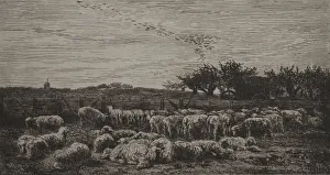 1817 1878 Prints: The Large Sheep-Fold, 1860. Creator: Charles Francois Daubigny (French, 1817-1878); Cadart