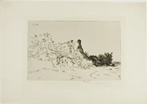 Jacque Charles Emile Prints: The Large Thatched Cottage, Kercassier, c. 1875. Creator: Charles Emile Jacque
