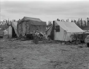 Refugee Camp Prints: In one of the largest pea camps in California, 1936. Creator: Dorothea Lange