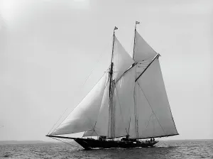 Lasca, 1895 Aug 20. Creator: Johns Johnston