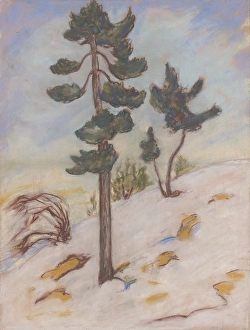 1925 Prints: Late autumn in the High Tatras, 1925-1930. Creator: Zolo Palugyay