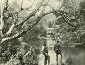 Deforestation Prints: The Launching Place, Upper Yarra, Victoria, 1901. Creator: Unknown