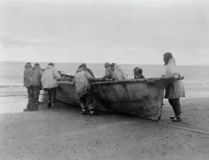 Eskimo Prints: Launching the whale boat-Cape Prince of Wales, c1929. Creator: Edward Sheriff Curtis