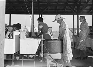 Washtub Collection: Laundry facilities in FSA migrant labor camp, Westley, California, 1939. Creator: Dorothea Lange