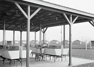 Resettlement Prints: Laundry facilities at Westley camp for migratory labor