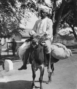 The laundry man, India, late 19th or early 20th century. Artist: Cavanders Ltd The laundry man, India, late 19th or early 20th century. Artist: Cavanders Ltd
