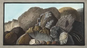 Fabris Prints: Lava, Scoria, and Pumice stones and of Mount Versuvius, 1776