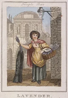Craig Gallery: Lavender, Cries of London, 1804