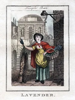 Lavender, Temple Bar, London, 1805 Lavender, Temple Bar, London, 1805