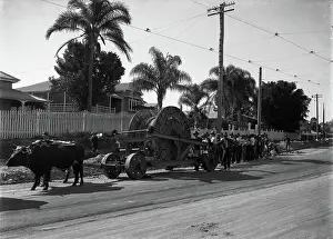 Laying Electrical Mains - Wynnum Road, Norman Park (old shop is #101 Wynnum Road), 1916