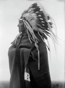 War Bonnet Prints: Lazy Boy, Indian Chief, 1914. Creator: Harris & Ewing