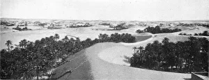 Sahara Prints: Le bas Sahara-Les Oasis, Oued Souf. La palmeraie; Afrique du nord, 1914. Creator: Goubault