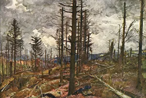 Fallen Tree Prints: Le Bois mutile (cote 955, au-dessus de Metzeral), 1916. Creator: Charles-Jules Duvent
