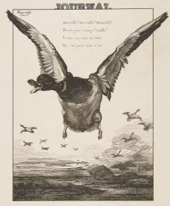Auguste Delatre Gallery: Le Canard, 1856. Creator: Felix Bracquemond