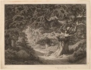 Etching On Chine Colla© Prints: Le Charlemagne (foret de fontainebleau), 1861. Creator: Eugene Blery