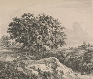 Etching On Chine Colla© Gallery: Le chêne au ravin (Oak Tree by a Ravine), 1845. Creator: Eugene Blery
