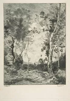 Auguste Delatre Gallery: Le cheval blanc, 1858?. Creator: Felix Bracquemond